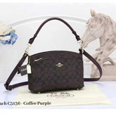 COACH_Dupe_Monogram_Sling_Bag_807