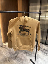 Burberr y Brown Fleece Premium Hoodie