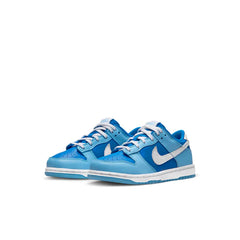 WMNs Nike Dunk Low ‰ÛÏArgon‰