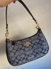 Coach Teri Hobo With OriginalBox