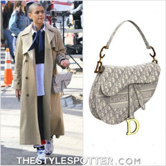 Dior Saddle Oblique Grey With Original box