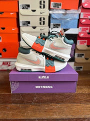 Nike Lebron Witness 8 Multi