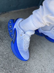 Nike Airmax DN Royal Platinum