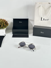 Dior 2190 Silver Black