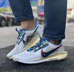Nike Pegasus Trail 5 Zoom Blue Multi