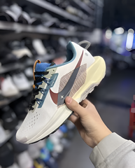 Nike Pegasus Trail 5 Zoom Blue Multi