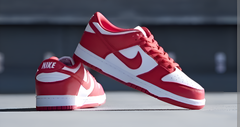 Dunk low University Red For Men Semi UA With Extra Laces 441 As3