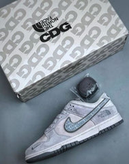 Nike sb dunk low x the north face