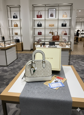 Coach Sierra Satchel In Signature Canvas White With OG Box Dust Bag 88067 White