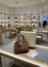 Coach Sierra Satchel In Signature Dark Apricot Carmel With OG Box Dust Bag 88067 Dark Apricot Carmel