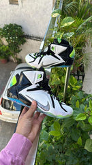 Nike LeBron 12