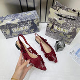 Christian Dior JA dior Slingback Transparent Mesh Black Dior Embroidery Flat With OG Box Dust Bag & Carry Bag