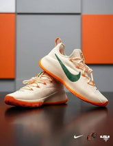 Nike Lebron TR1 Honors Famu