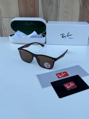 Rayban 4487 brown