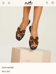 Hermes Paris Oran Leopard Print Flats For Her With OG Box & Carry Bag Slide Brown Black