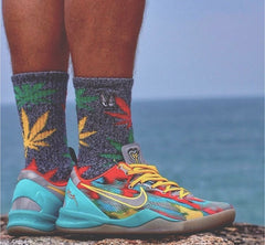 Nike Kobe 8 Venice Beach