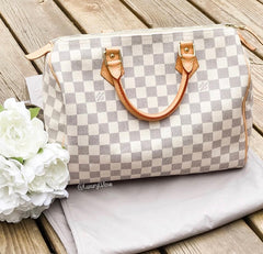 Louis Vuitton Speedy 30 With Dust Cover