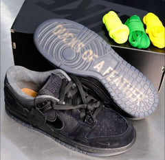 Nike Dunk Low Ducks Of The Feather University Of Oregon