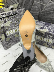 Dior JAdior SlingBack Pump Tiger Grey With OriginalBox CarryBag Premium