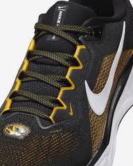 Nike Zoom Pegasus 41 Pittsburgh Steelers