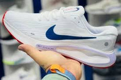 Nike Zoom Cushlon White