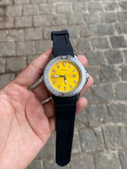 Fossil Bannon
