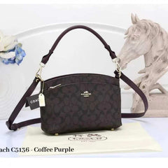 COACH_Dupe_Monogram_Sling_Bag_807