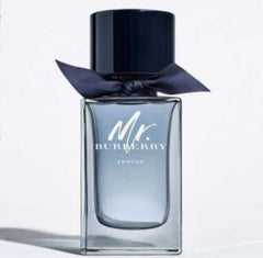 Mr_BURBERRY_INDIGO_EDT_100ML_(703)