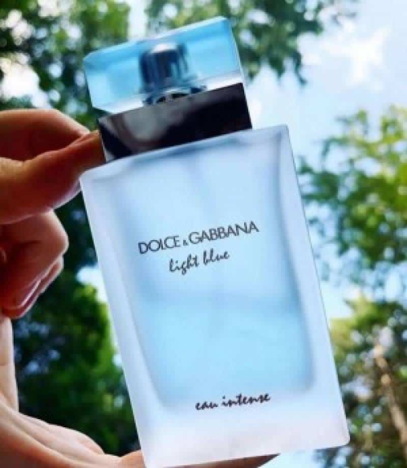 Dolce And Gabbana Light Blue EDT 100ML (495)