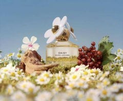 Marc Jacobs Daisy EDT 100ML (789)