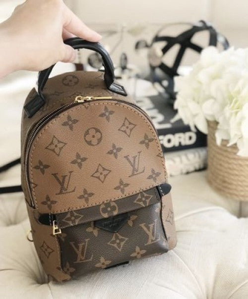 Louis Vuitton LV Palm Spring Mini Backpack