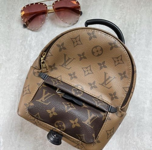 Louis Vuitton LV Palm Spring Mini Backpack