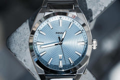 Fossil Everett