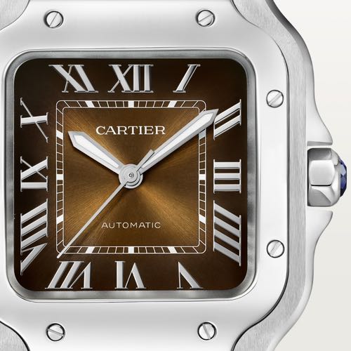 Cartier D Santos