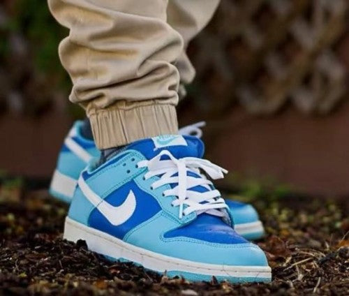 Nike Sb Dunk Argon Blue Men