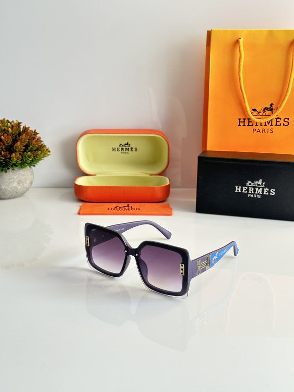 Hermes WMNS 23001 Purple