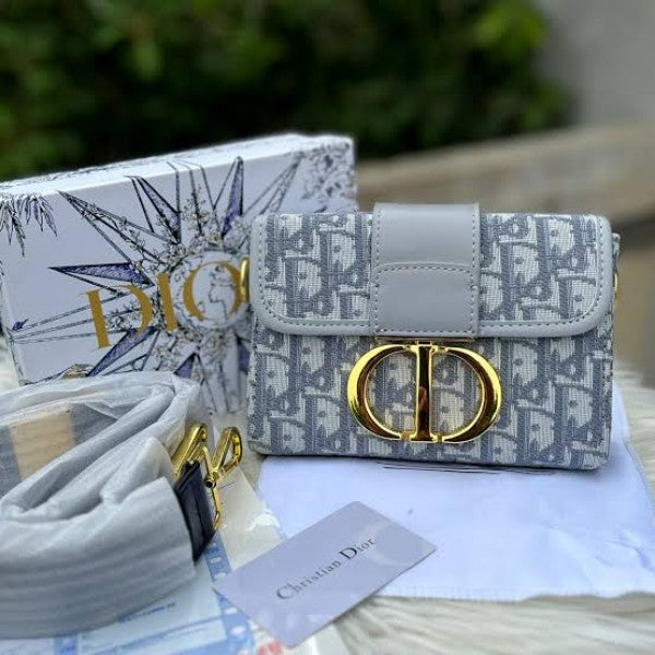 Christian Dior Montaigne Vanity Grey Bag With OG Box & Dust Bag (78832 Grey)