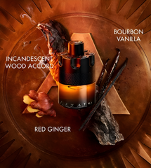 AZZARO THE MOST WANTED PERFUMES