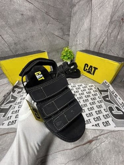 CAT BLACK