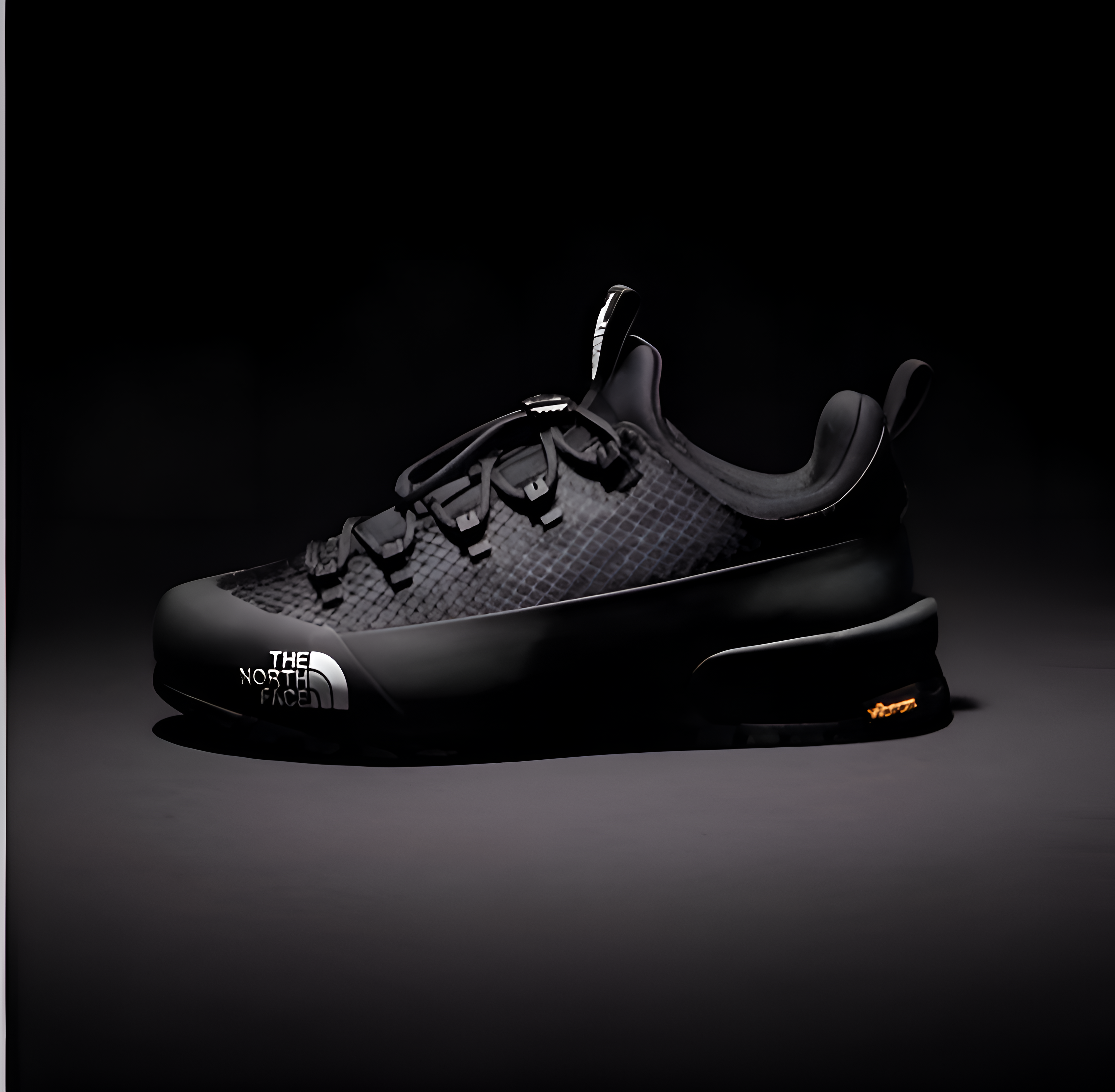 Northface goretex Sneaker Vibram sole