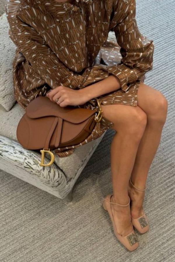 Dior Saddle Blue Toile de Jouy Embroidery With OG Box & Dust Bag (Blue Tiger 1035)