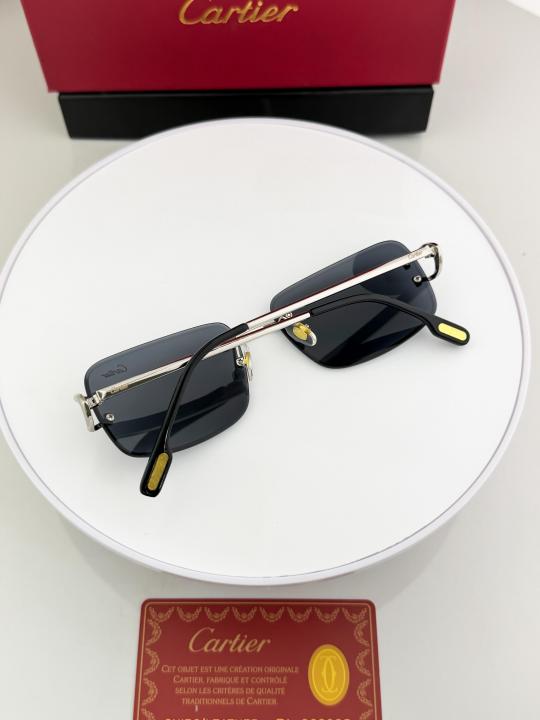 Cartier silver black 8220