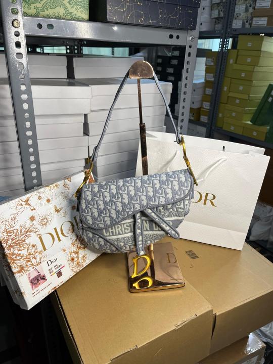 Christian Dior Saddle Grey Dior Oblique Embroidery With OG Box Dust Cover & Carry Bag 6641 Grey