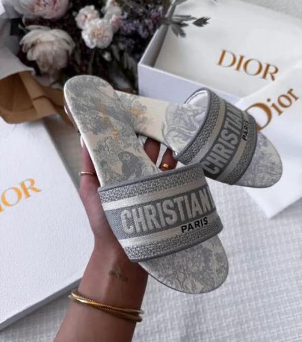 Christian Dior Dway Slide In Grey Signature Embroidered With OG Box Carry Bag 2019 1 Grey