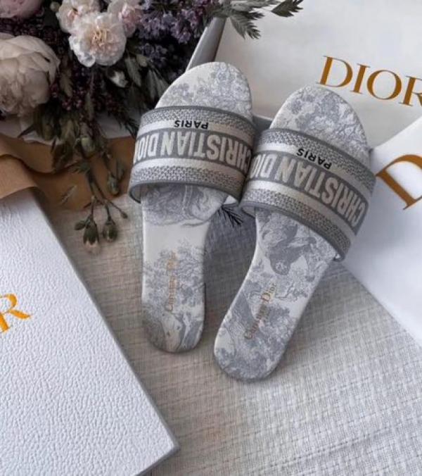 Christian Dior Dway Slide In Grey Signature Embroidered With OG Box Carry Bag 2019 1 Grey