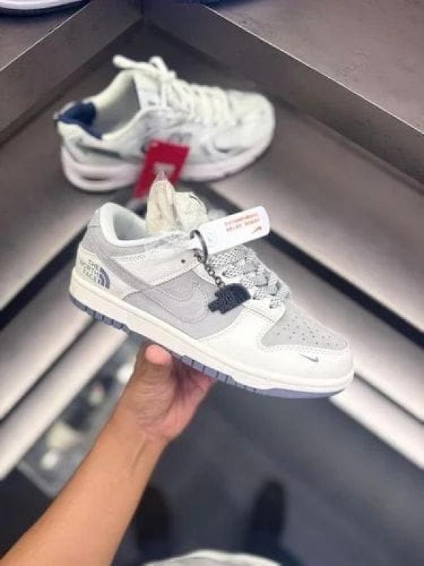 Dunk low North face Grey 2025 556