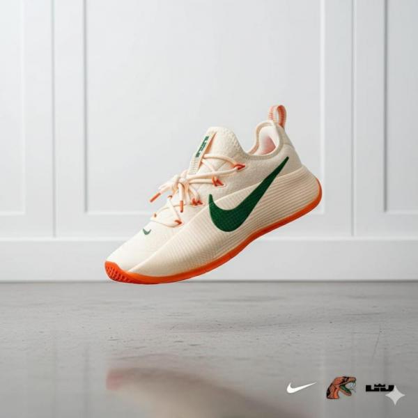 Nike Lebron TR1 Honors Famu