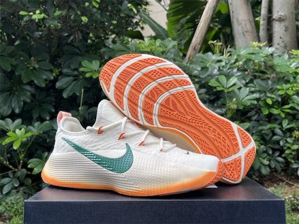 Nike Lebron TR1 Honors Famu