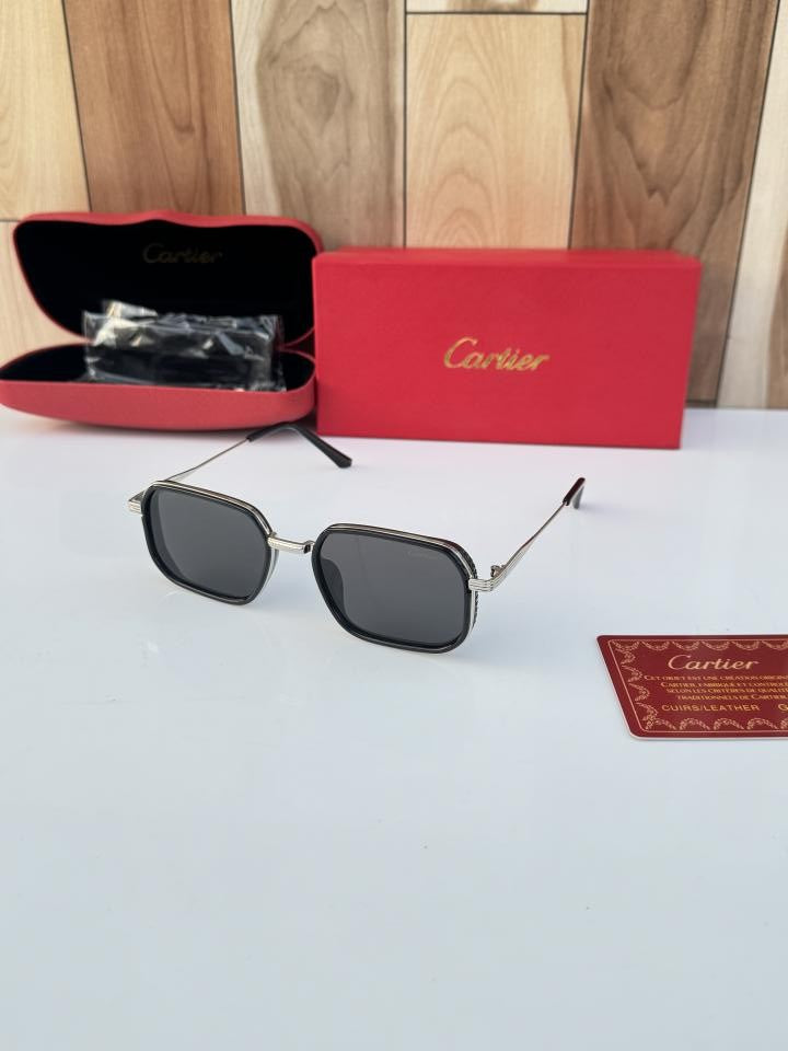 Cartier 2841 silver black