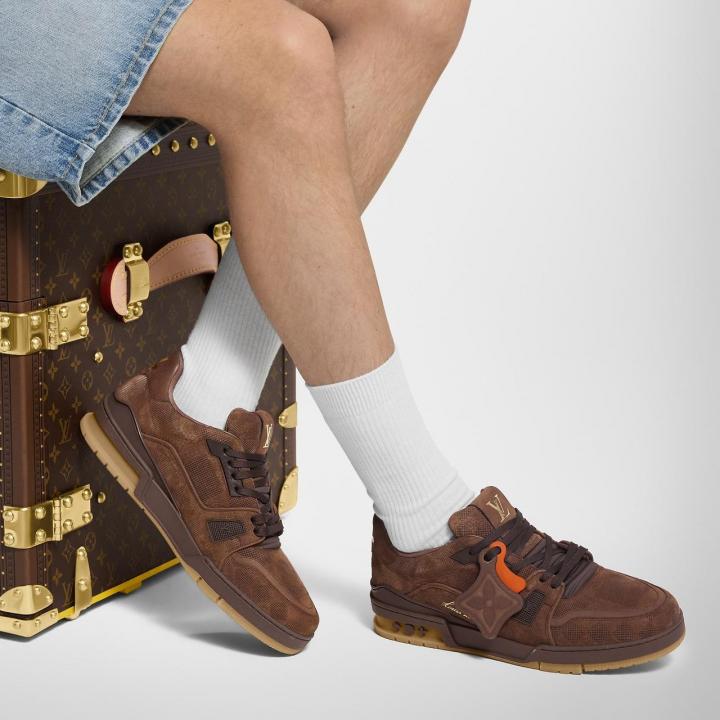 Louis Vuitton LV Trainer Sneaker Brown Damier Calf Leather